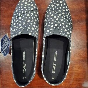 Toms - brand new in box
